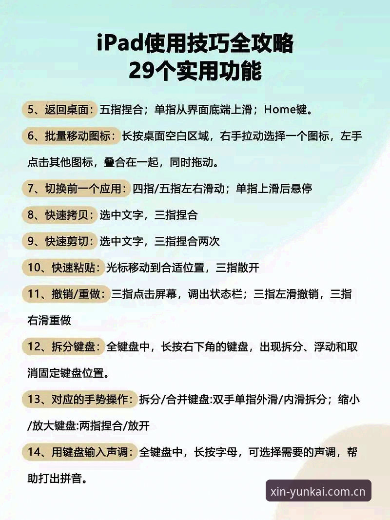 云开体育平台电脑版使用指南：从下载到安全登录的完整流程